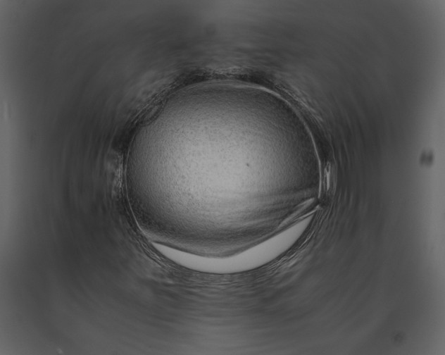 X0000091221251200708231623