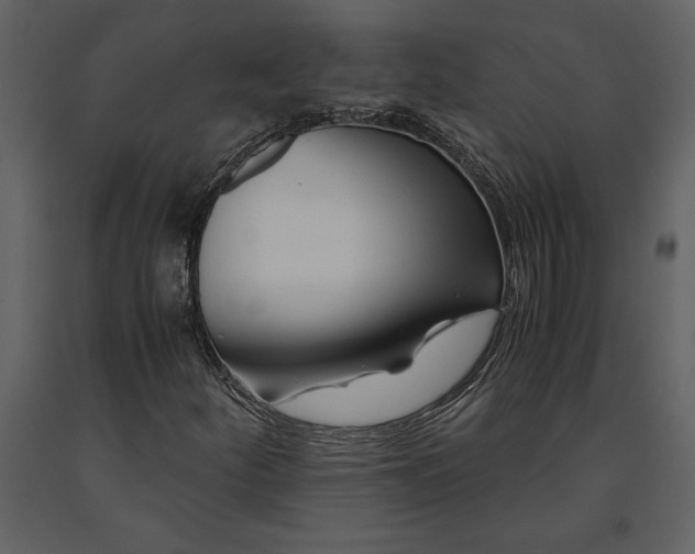 X0000091221252200708231623