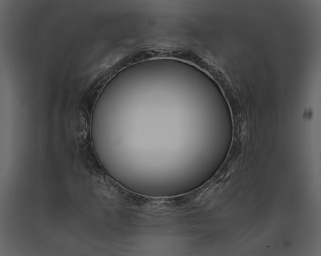 X0000091221253200708231623