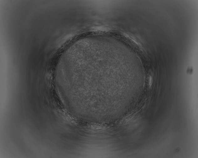 X0000091221254200708231623