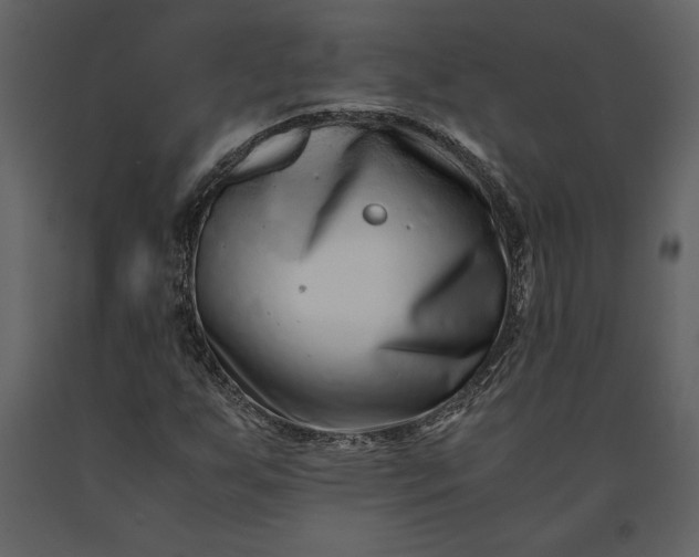 X0000091221255200708231623