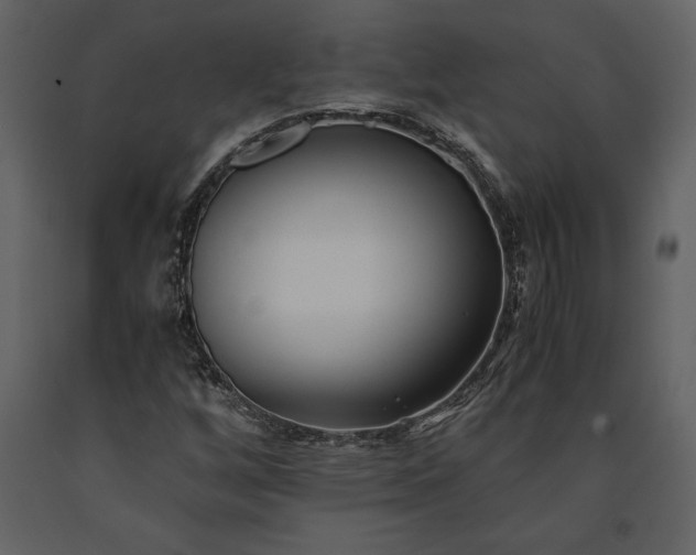 X0000091221256200708231623