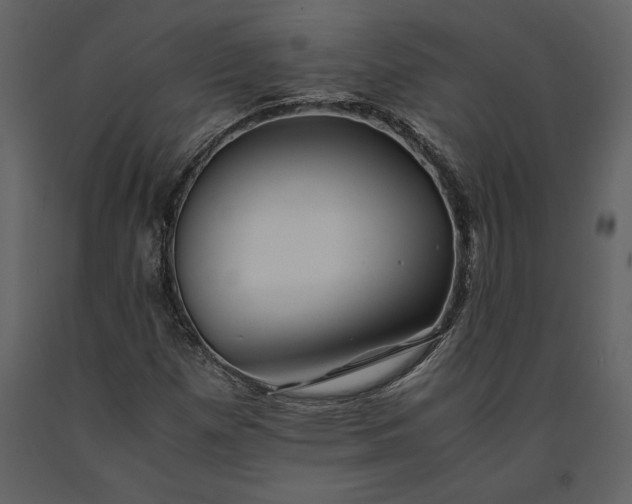 X0000091221257200708231623