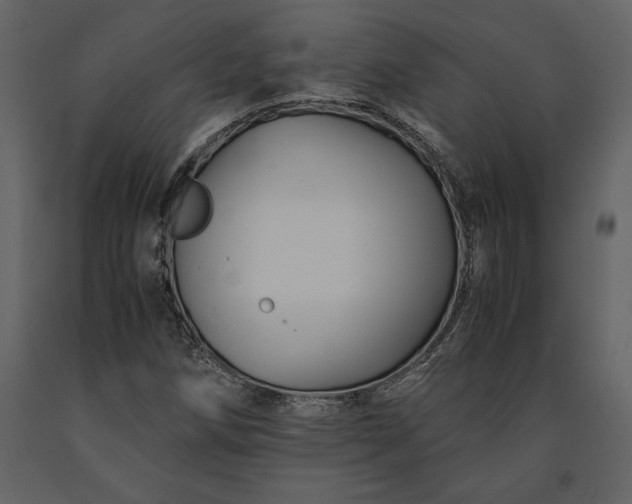 X0000091221258200708231622