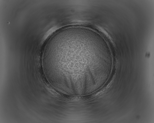 X0000091221259200708231622