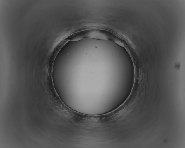 X0000091221261200708231622