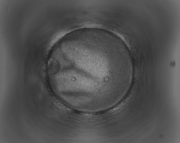 X0000091221263200708231622