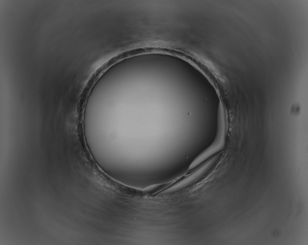 X0000091221264200708231622