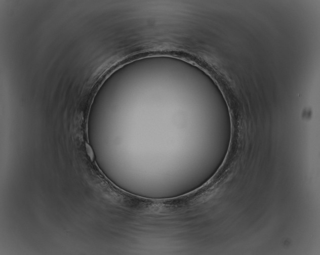 X0000091221265200708231622