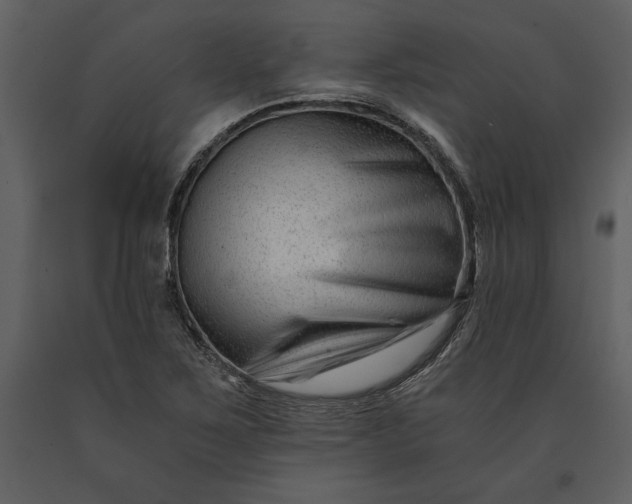 X0000091221267200708231622