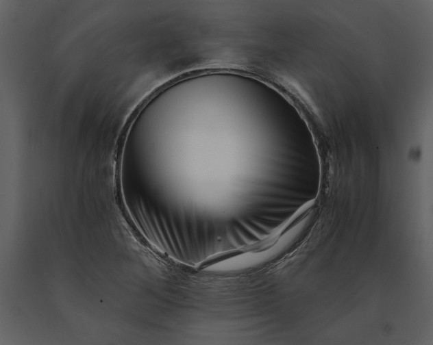 X0000091221268200708231622