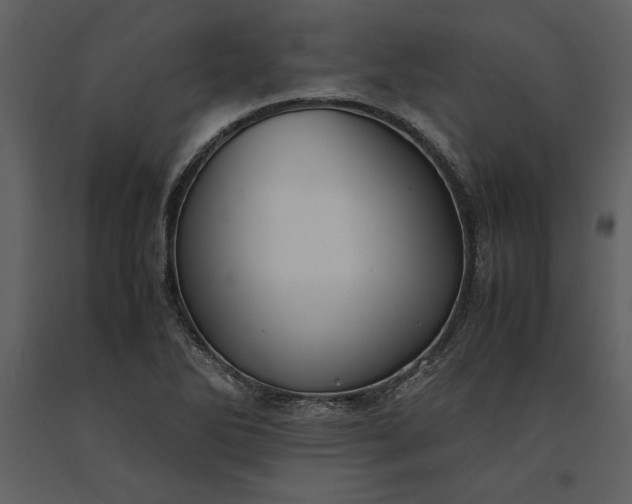 X0000091221270200708231622