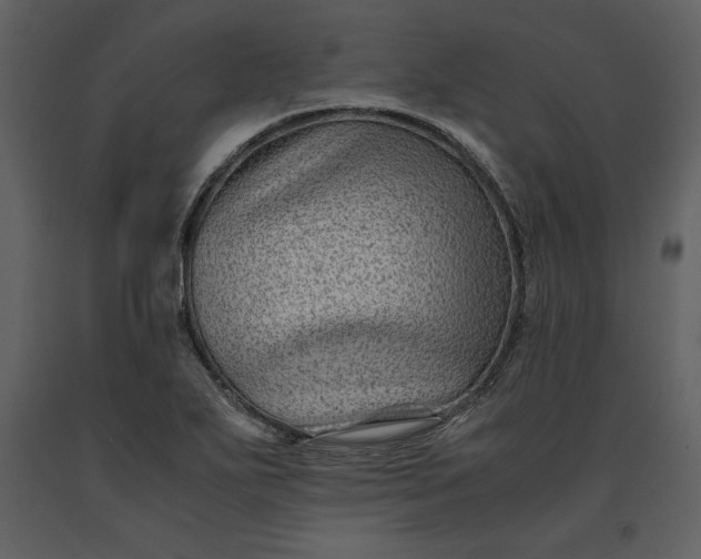 X0000091221271200708231622