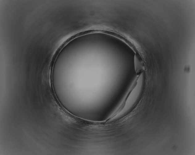 X0000091221272200708231622