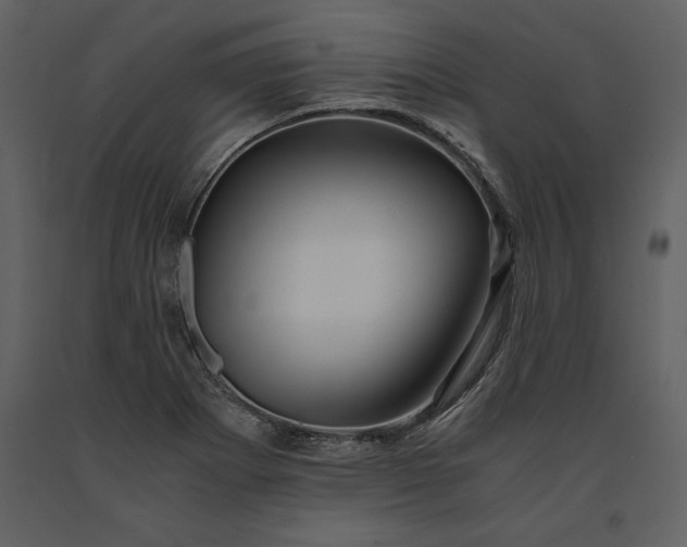 X0000091221273200708231622