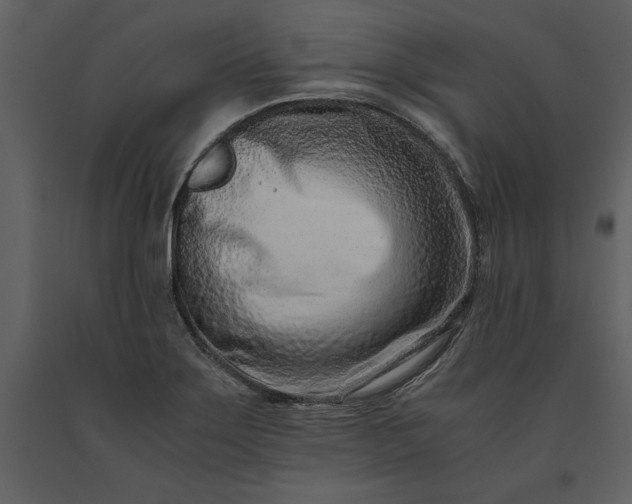 X0000091221275200708231622