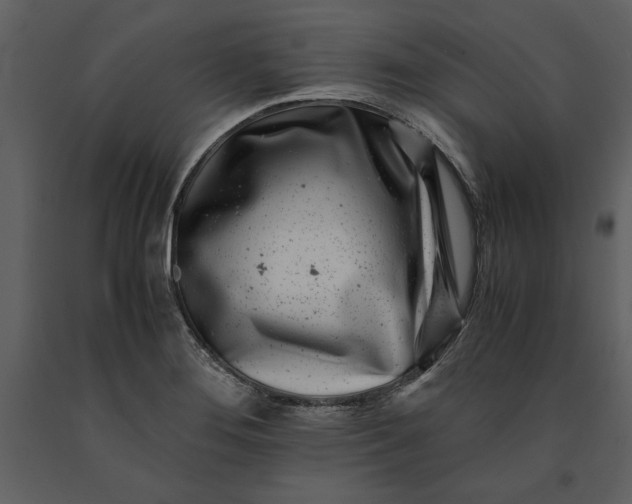 X0000091221276200708231622