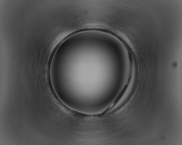 X0000091221277200708231622