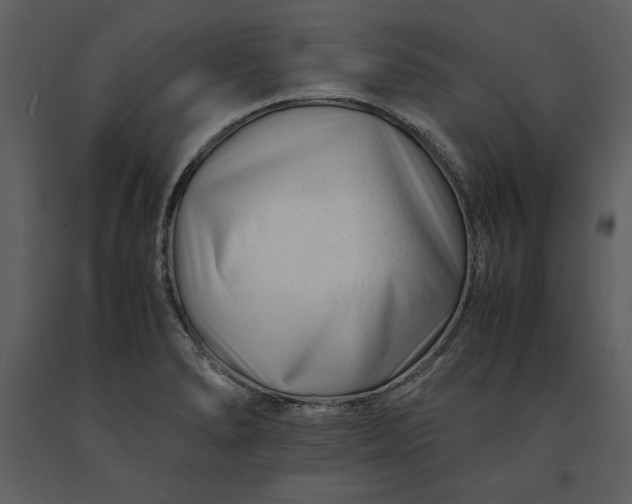 X0000091221278200708231622