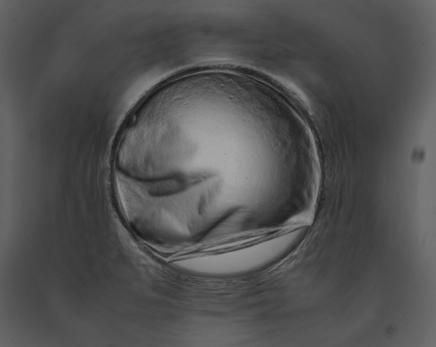 X0000091221279200708231622