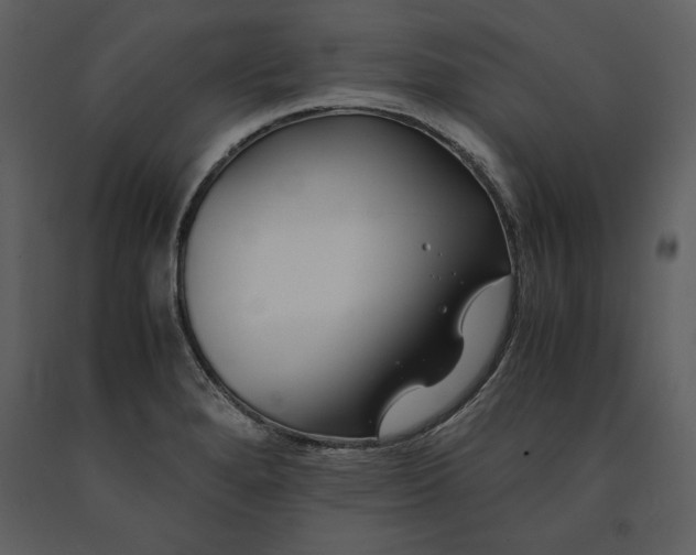 X0000091221280200708231622