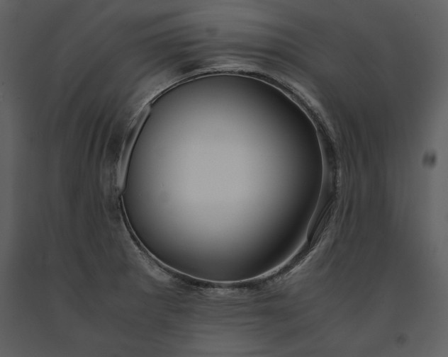 X0000091221281200708231622