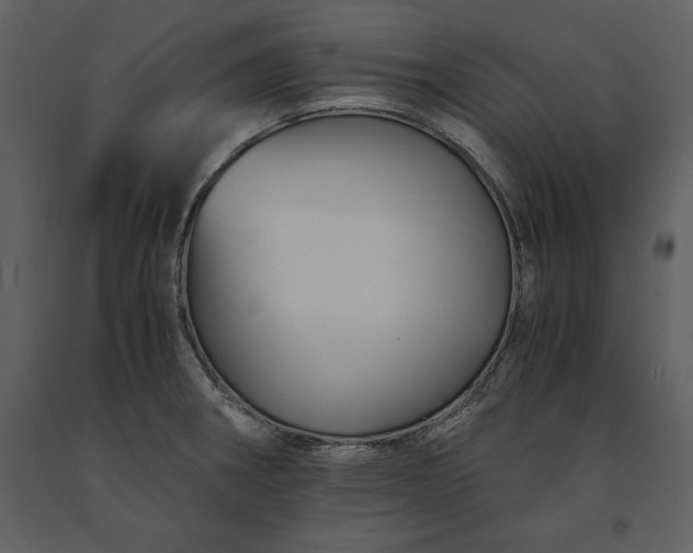 X0000091221282200708231622