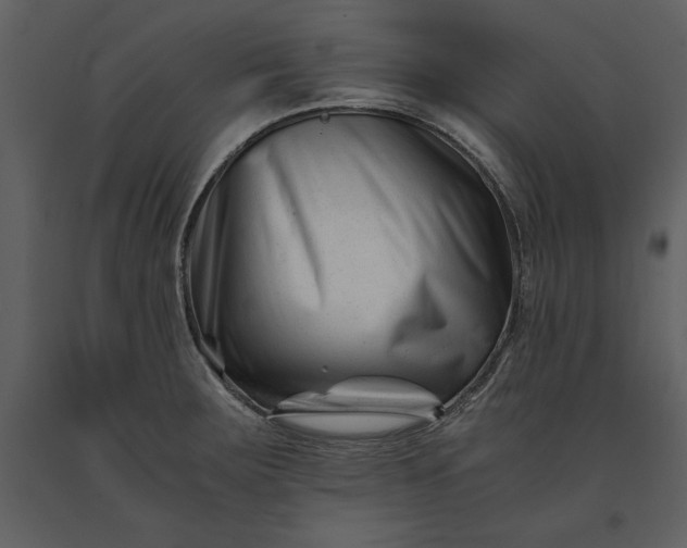 X0000091221283200708231622