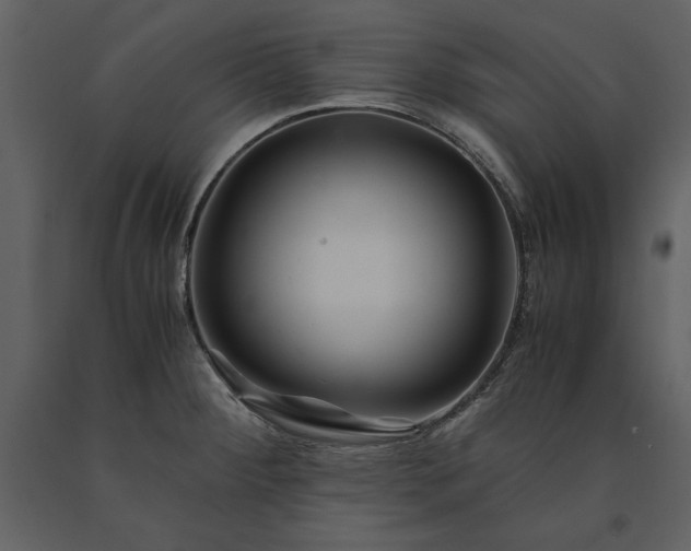 X0000091221284200708231622