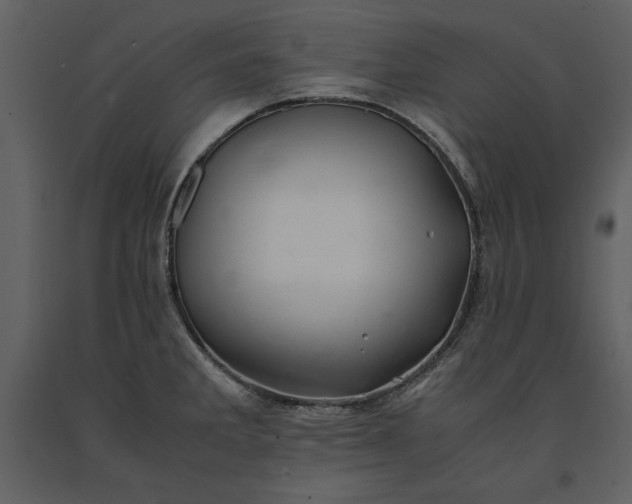 X0000091221285200708231622