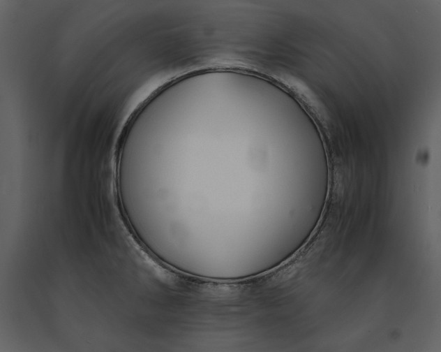 X0000091221286200708231622