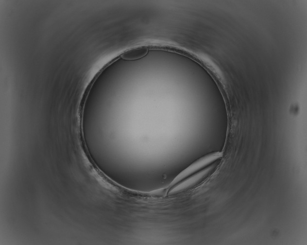 X0000091221287200708231622