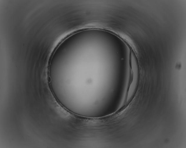 X0000091221288200708231622