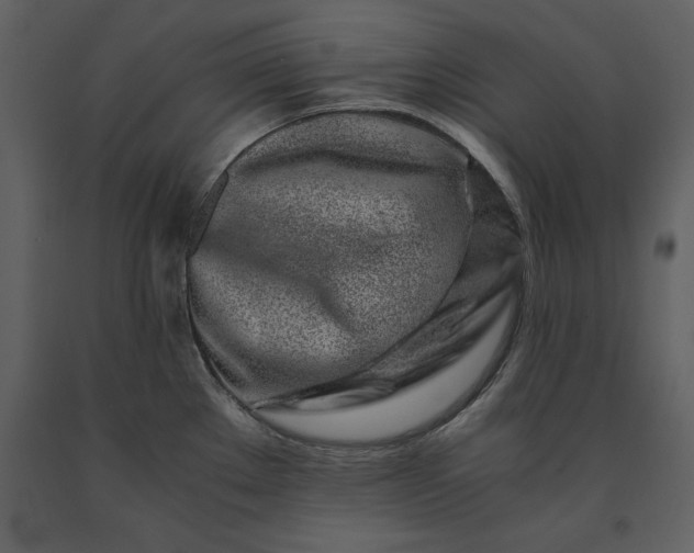 X0000091221289200708231622