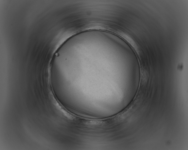 X0000091221290200708231622