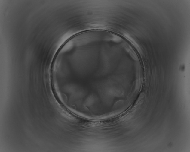 X0000091221291200708231622