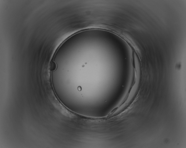 X0000091221292200708231622