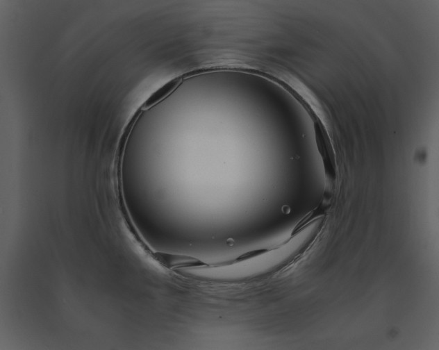 X0000091221293200708231622