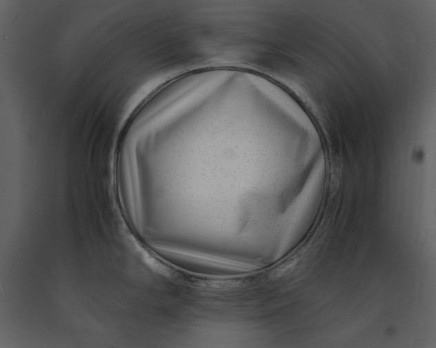 X0000091221294200708231622