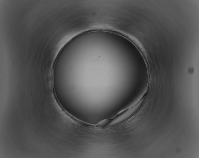 X0000091221295200708231622