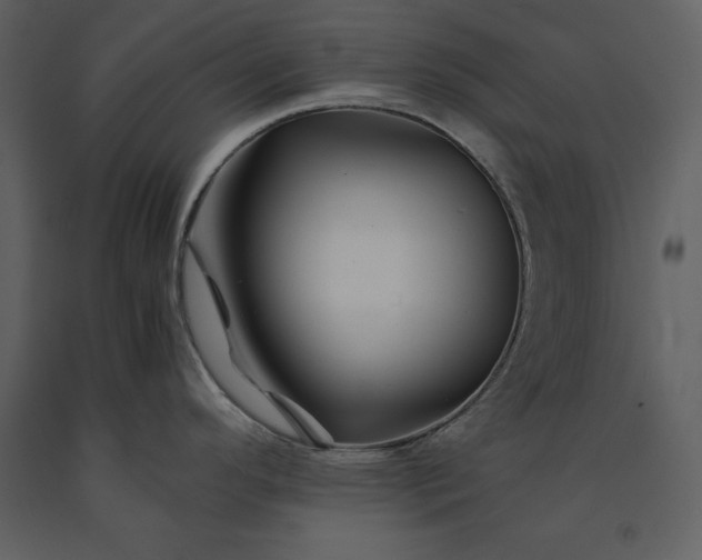 X0000091221296200708231622