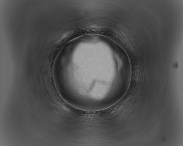 X0000091221297200708231621