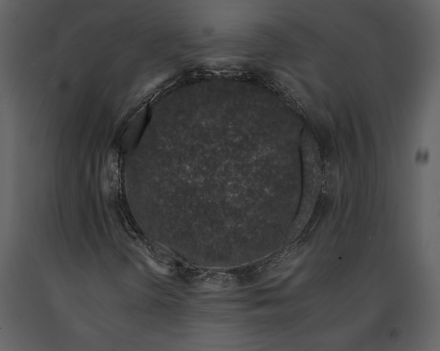 X0000091221298200708231621