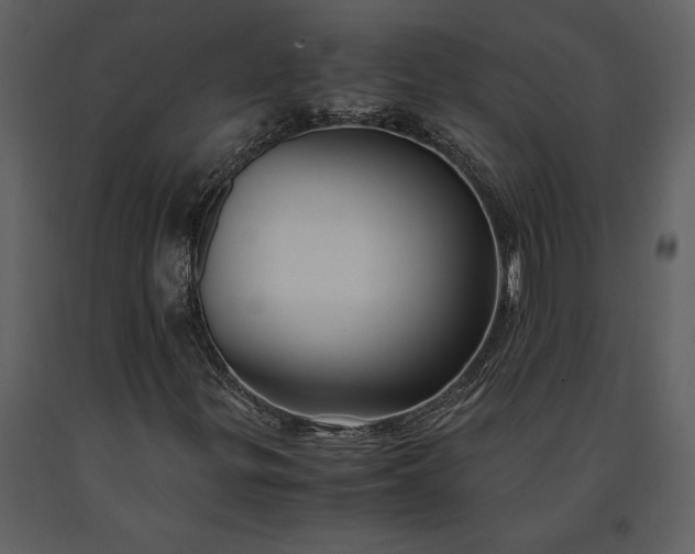 X0000091221299200708231621