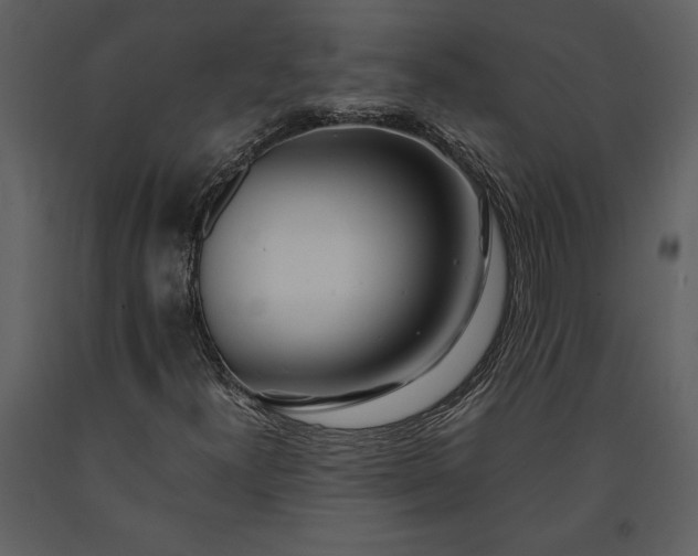 X0000091221300200708231621