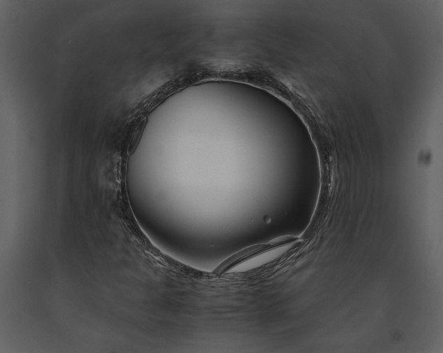 X0000091221301200708231621