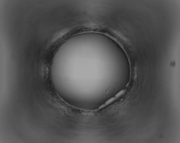 X0000091221302200708231621