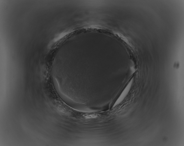 X0000091221303200708231621