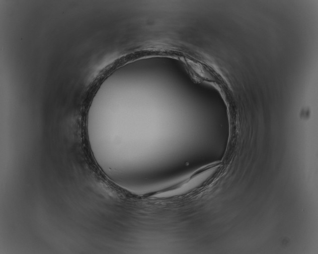 X0000091221304200708231621