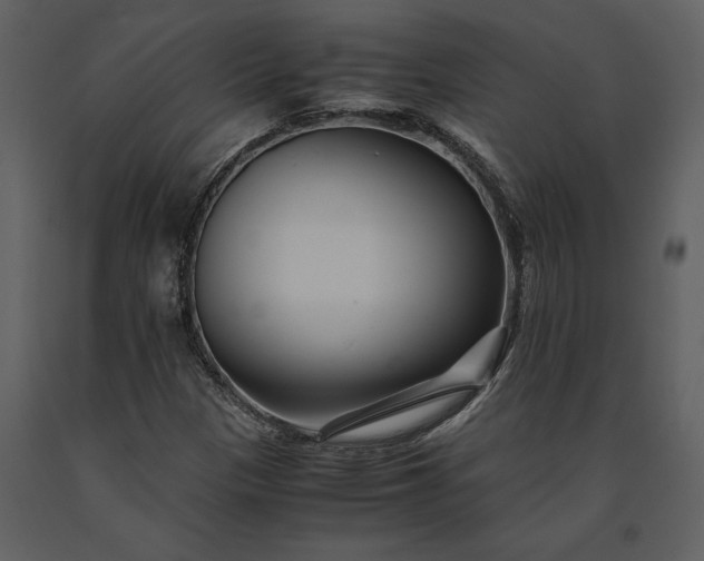 X0000091221305200708231621